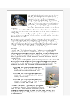 2017-07-31-If-Father-Asked-Permission